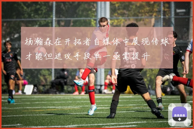 杨瀚森在开拓者自媒体中展现传球才能但进攻手段单一亟需提升